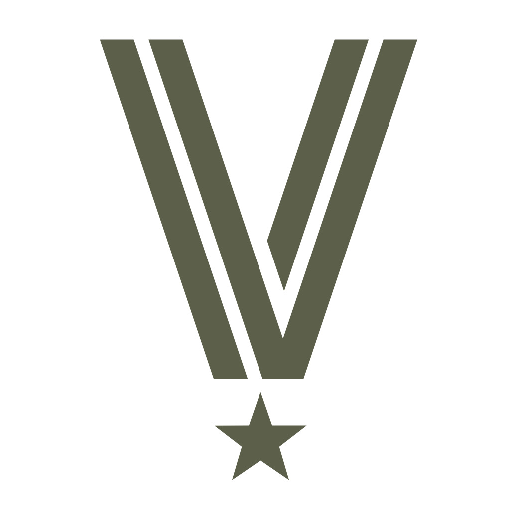 Veterans for All Voters — Veterans Lead the Charge for Reform logo