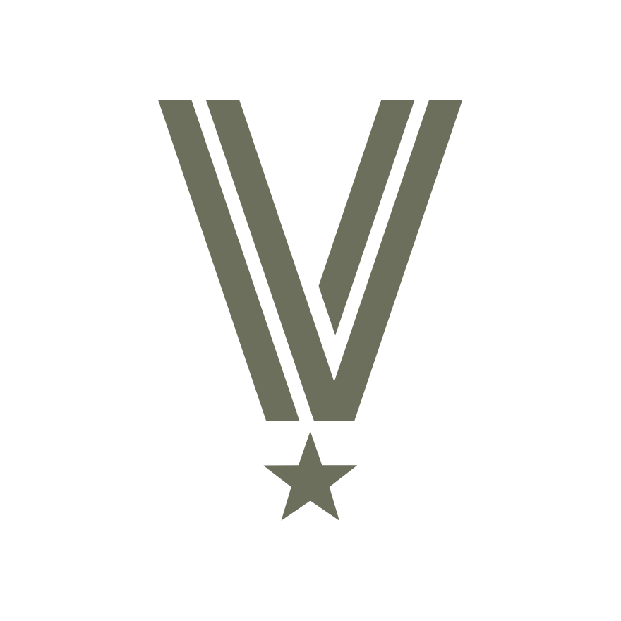 Award ribbon icon with a vertical V-shaped ribbon and a star at the bottom on a black background, representing an achievement